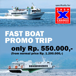 Free Website Template by FreeHTML5.co